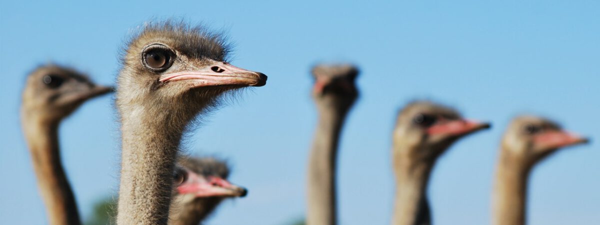 Mietrecht Essen Kettwig Rechtsanwalt Reitner Kinscher