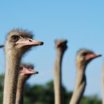 Mietrecht Essen Kettwig Rechtsanwalt Reitner Kinscher